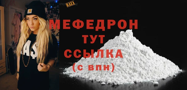 гашик Мегион