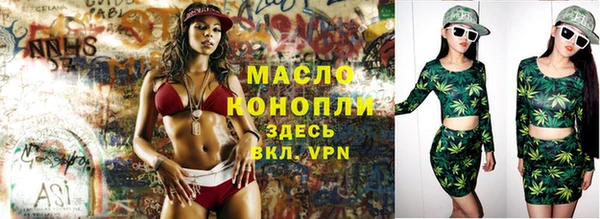 гашик Мегион