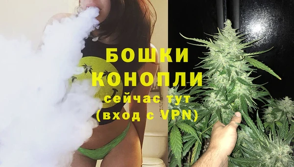 гашик Мегион