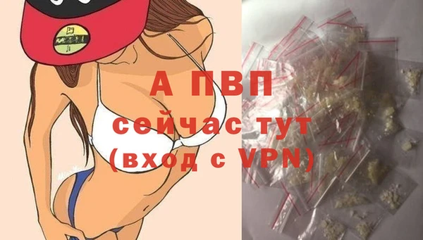 гашик Мегион