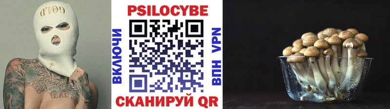 Псилоцибиновые грибы MAGIC MUSHROOMS  Туринск 